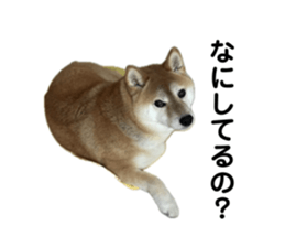 766611636