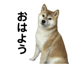 766611641