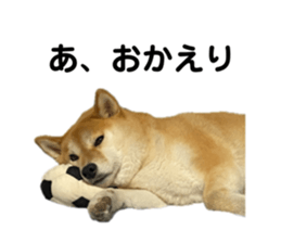 766611645