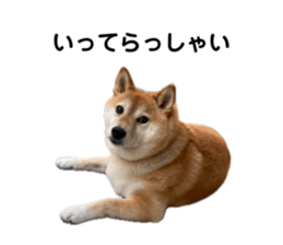 766611646