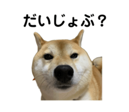 766611647