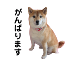 766611649