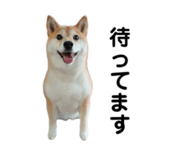 766611650