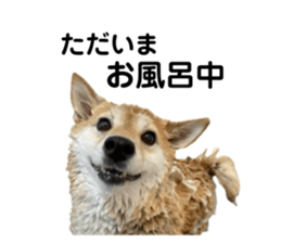 766611651