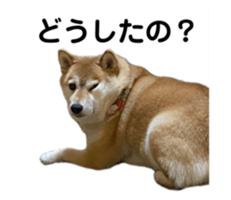 766611653