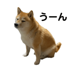 766611654