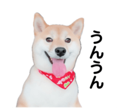 766611656