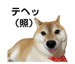 766611657