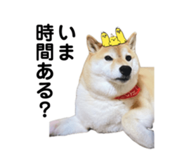 766611660