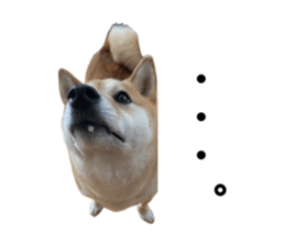 766611663
