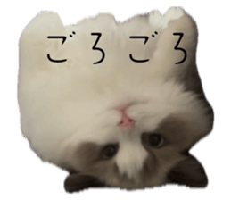766618614