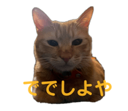 766624562