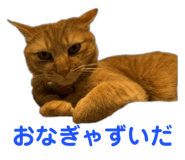 766624566