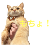 766624568
