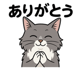 766628034