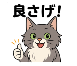 766628038