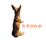 766638116
