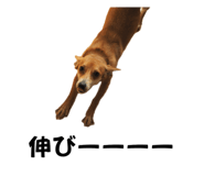 766638121