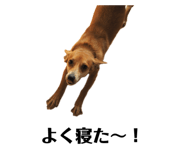 766638122