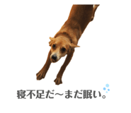 766638123