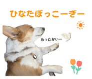 766638135