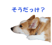 766638139
