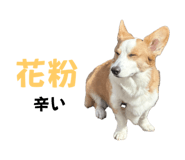 766638146