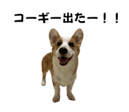766638149