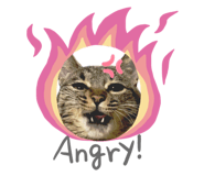 766645386