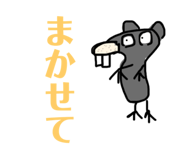 766646505