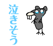 766646508
