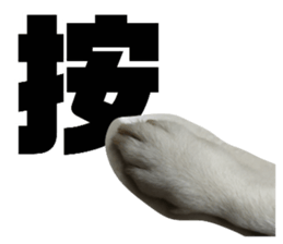 766651777