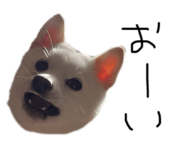 766655653