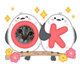 766658125