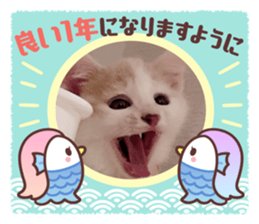 766660312