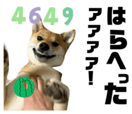 766662543