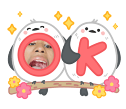 766662683