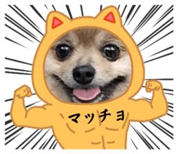 766663557