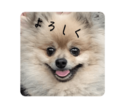 766663572