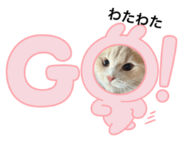 766666740