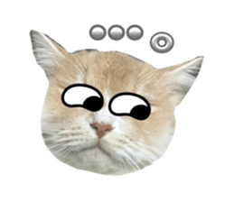 766666749