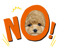 766666844