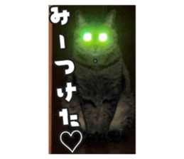 766669323