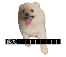 766672836