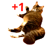 76667369