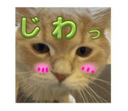 766675721