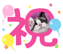 766678179
