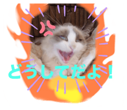766678183