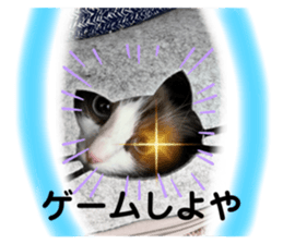 766678184