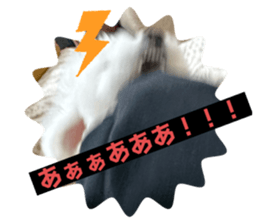 766678442